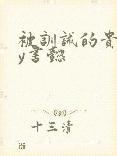 被训诫的贵妃by书懿