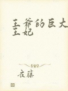 王爷的巨大进入王妃