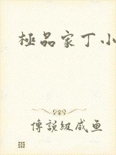 极品家丁小说