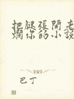 把腿张开老子臊烂你的小说