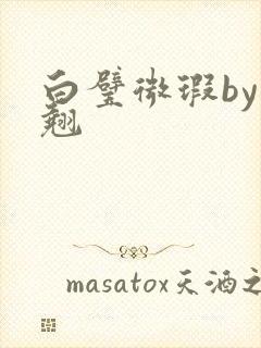 白璧微瑕by连翘