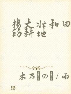 杨大壮和田桂花的耕地