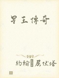 星王传奇