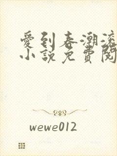 爱到春潮滚滚来小说免费阅读