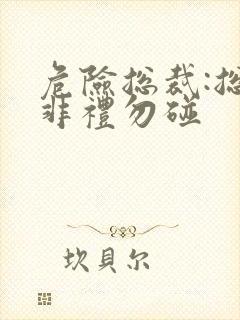 危险总裁:总裁非礼勿碰