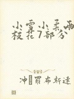 小雪小柔两个大校花7部分