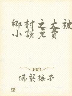 乡村之大被同眠小说免费