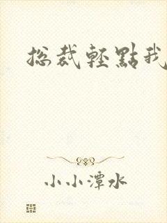 总裁轻点我怕疼