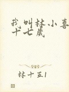 我叫林小喜今年十七岁