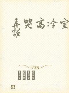弄哭高冷室友小说