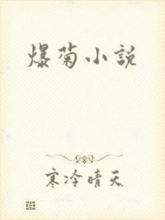 爆菊小说