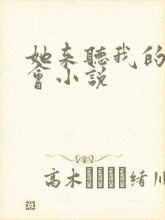 她来听我的演唱会小说