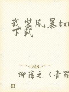 武装风暴txt下载