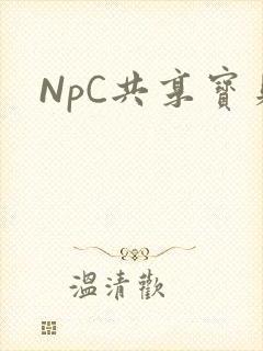 NpC共享宝贝