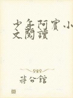 少年阿宾小说全文阅读