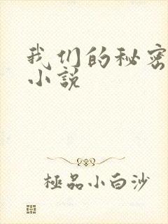 我们的秘密泰剧小说
