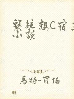 系统想C宿主的小说