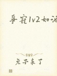 争宠1v2如酒