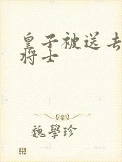 皇子被送去犒劳将士