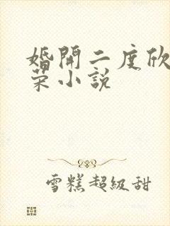 婚开二度欣欣向荣小说
