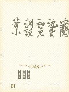 萧渊和沈安安的小说免费阅读