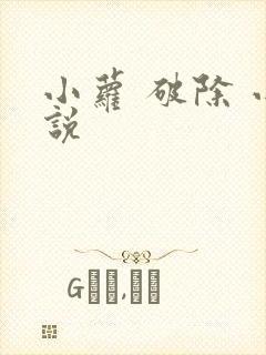 小萝 破除 小说