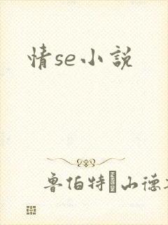 情se小说