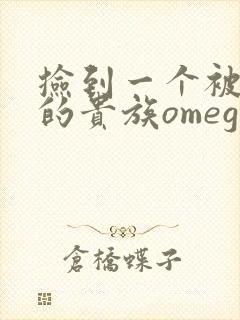 捡到一个被抹布的贵族omega