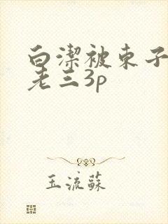 白洁被东子老二老三3p