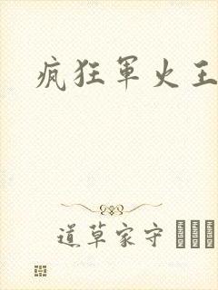 疯狂军火王