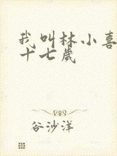 我叫林小喜今年十七岁