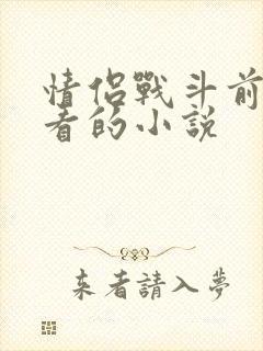 情侣战斗前适合看的小说