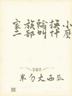 家族轮换小说第二部叫什么名字
