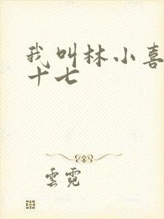 我叫林小喜今年十七