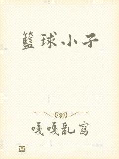 篮球小子