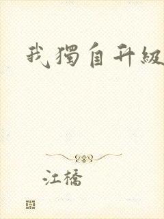 我独自升级小说