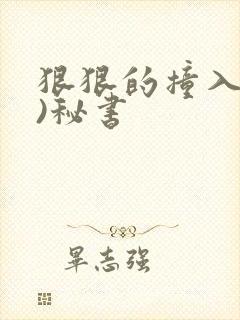 狠狠的撞入(h)秘书