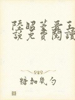 陆昭菱晋王的小说免费阅读