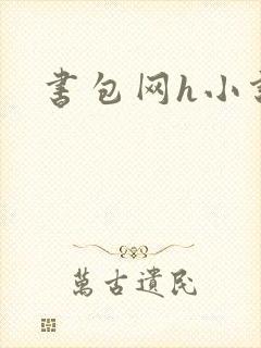 书包网h小说