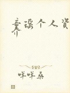 童瑶个人资料简介