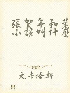 张贺年和叶繁姿小说叫什么名字