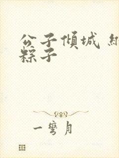 公子倾城 维和粽子