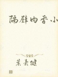 隔壁肉香小说