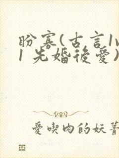 盼寡(古言1v1 先婚后爱)