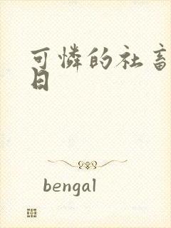 可怜的社畜东度日