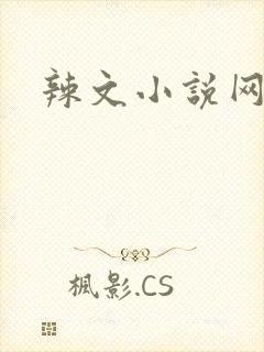 辣文小说网