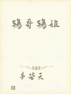 鸨哥鸨姐