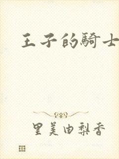 王子的骑士小说