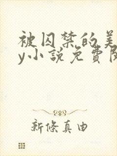 被囚禁的美人by小说免费阅读