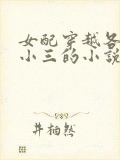 女配穿越各个做小三的小说